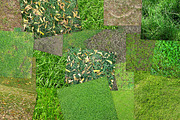 20 Grass Textures Background Pack, a Texture Graphic by TrueMitra Designs (Thumbnail 4 of 4)