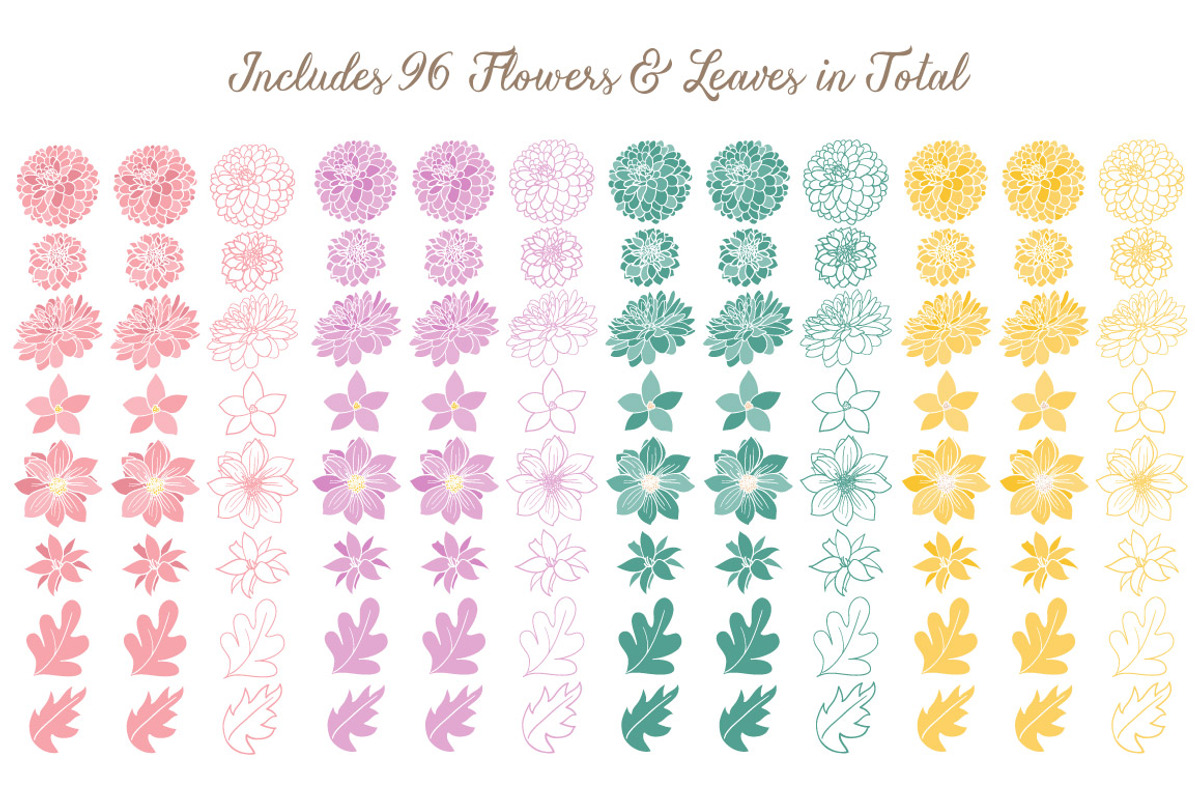 Summer Dahlia Vectors & Clipart, an Illustration by Amanda Ilkov (Photo 4 of 4)