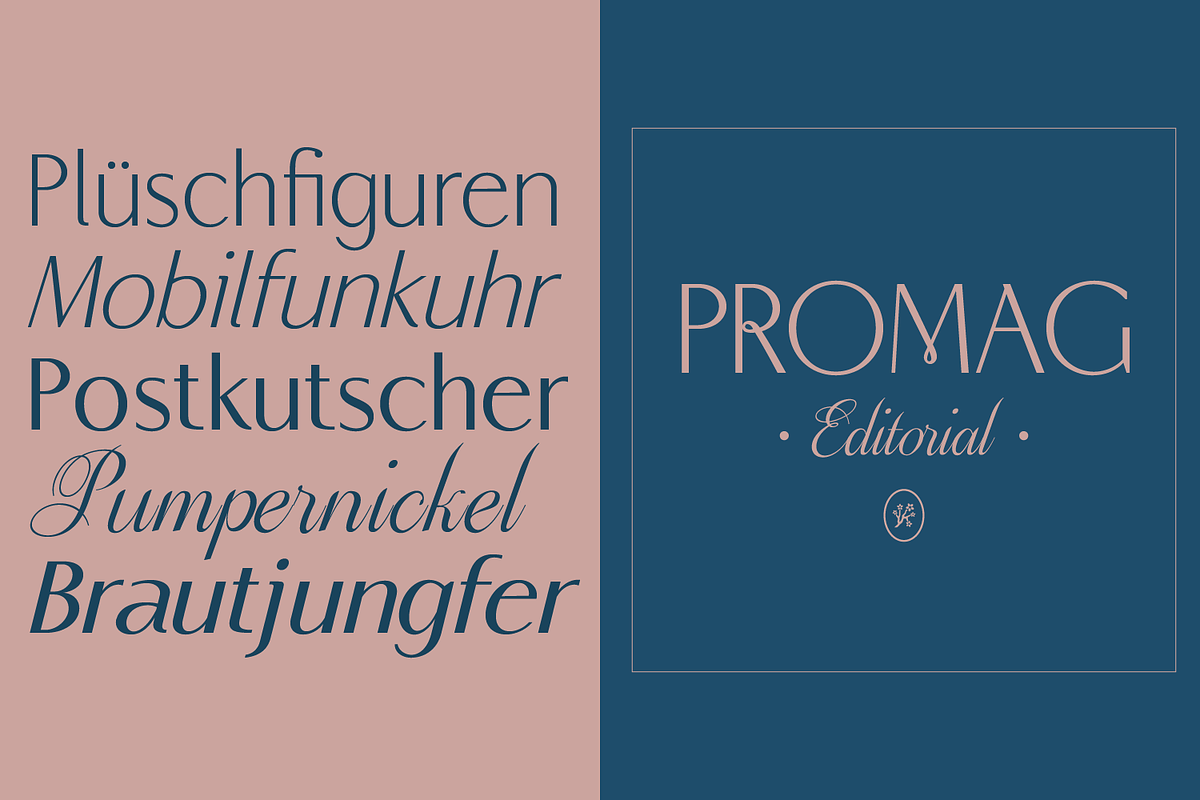 Promag Font Duo (Family), a Sans Serif Font by xdCreative (Photo 3 of 15)