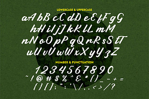 Green Leaf - Display Script