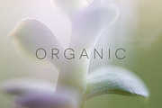 Organic | 20 Botanical Photos, a Nature Photo by Melanie Helena (Thumbnail 6 of 20)