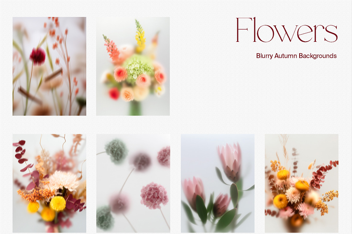 Harvest – Blurry Autumn Backgrounds, a Background Graphic by divanovskaya_nv (Photo 10 of 18)