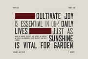 Marvelous, a Sans Serif Font by Umitype (Thumbnail 7 of 12)