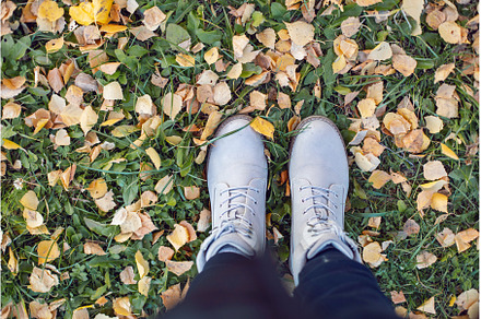 light women shoes in autumn among, a Person Photo by SaulichPhoto