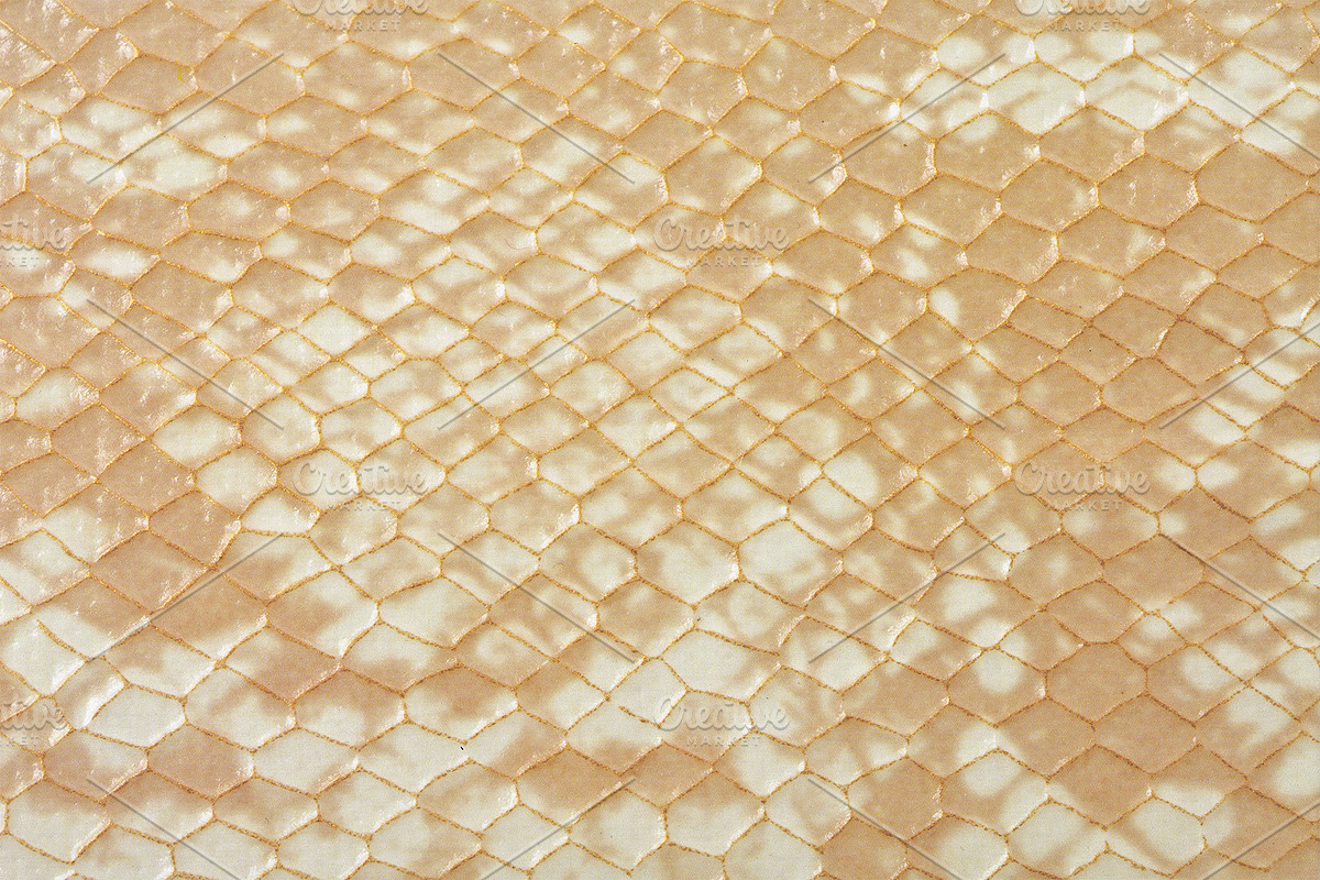 Scales & Skins Textures, a Texture Graphic by Blue Line Design (Photo 4 of 5)