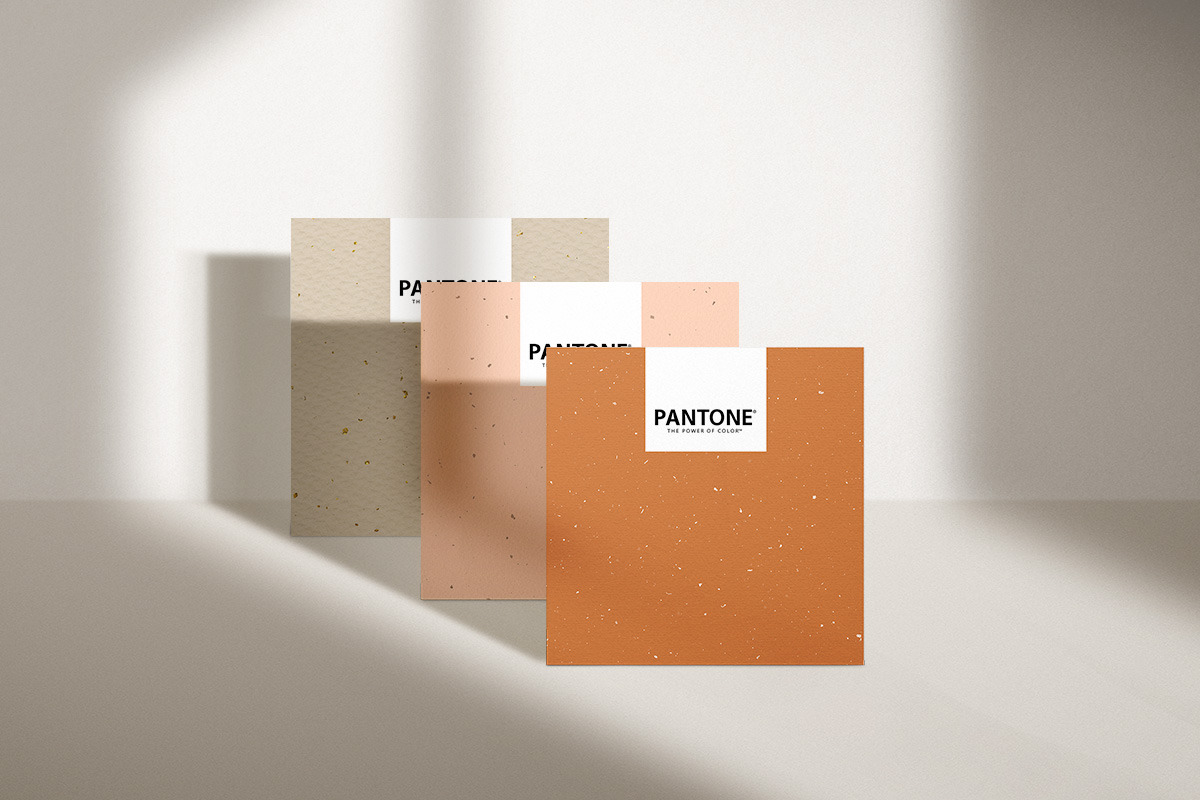 Blush Vintage Dry Flower Textures, a Texture Graphic by NassyArt (Photo 6 of 9)