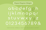 Ropan Font Family, a Sans Serif Font by Larin Type Co. (Thumbnail 10 of 10)