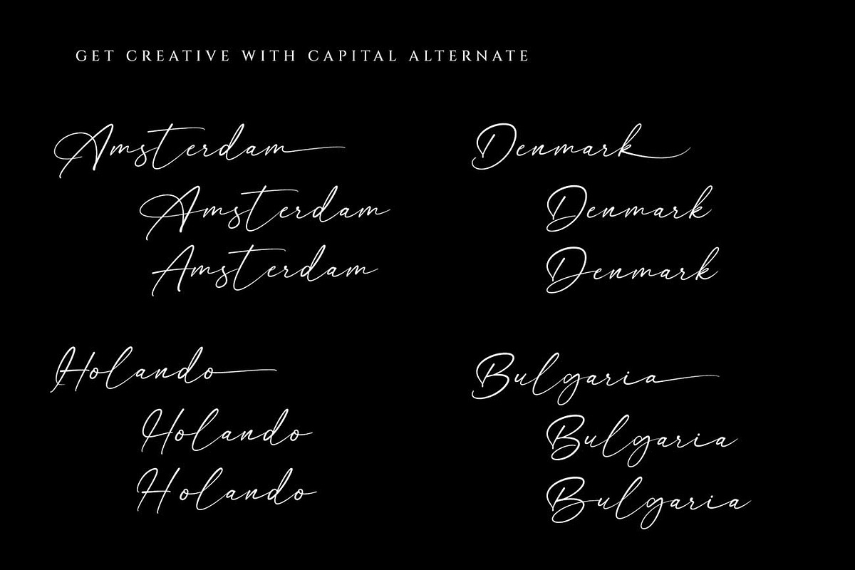 Anisther - Elegant Signature Font, a Font by RantautypeStudio (Photo 7 of 13)