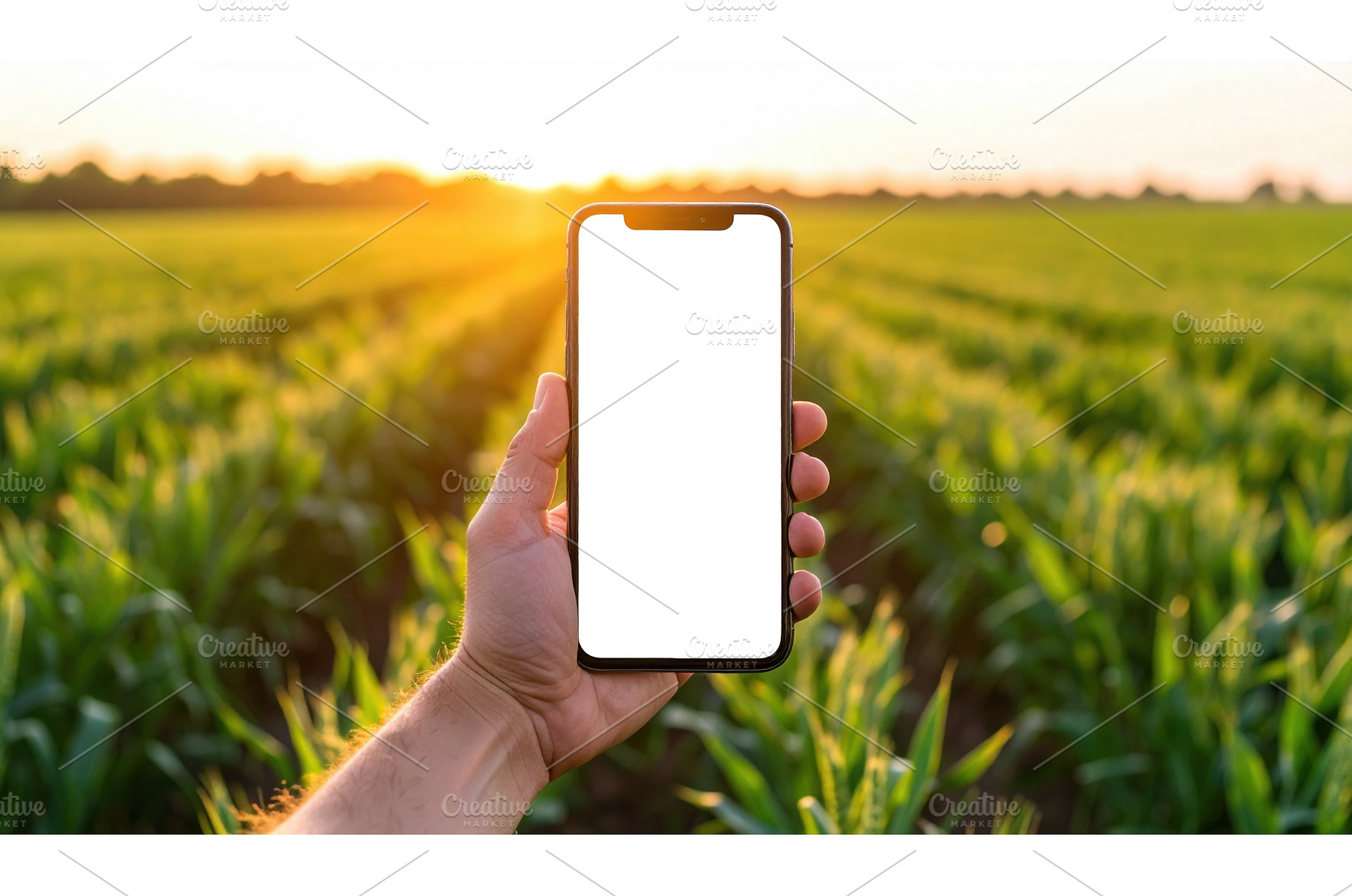 Hand holding smartphone with blank, a Technology Photo by Igor Tichonow