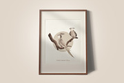 Cockatiel Birds Watercolor, an Animal Illustration by CreativeValuation (Thumbnail 7 of 15)