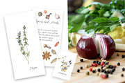 Watercolor Herbs and Spices, a Food Illustration by MayaNavits (Thumbnail 8 of 13)