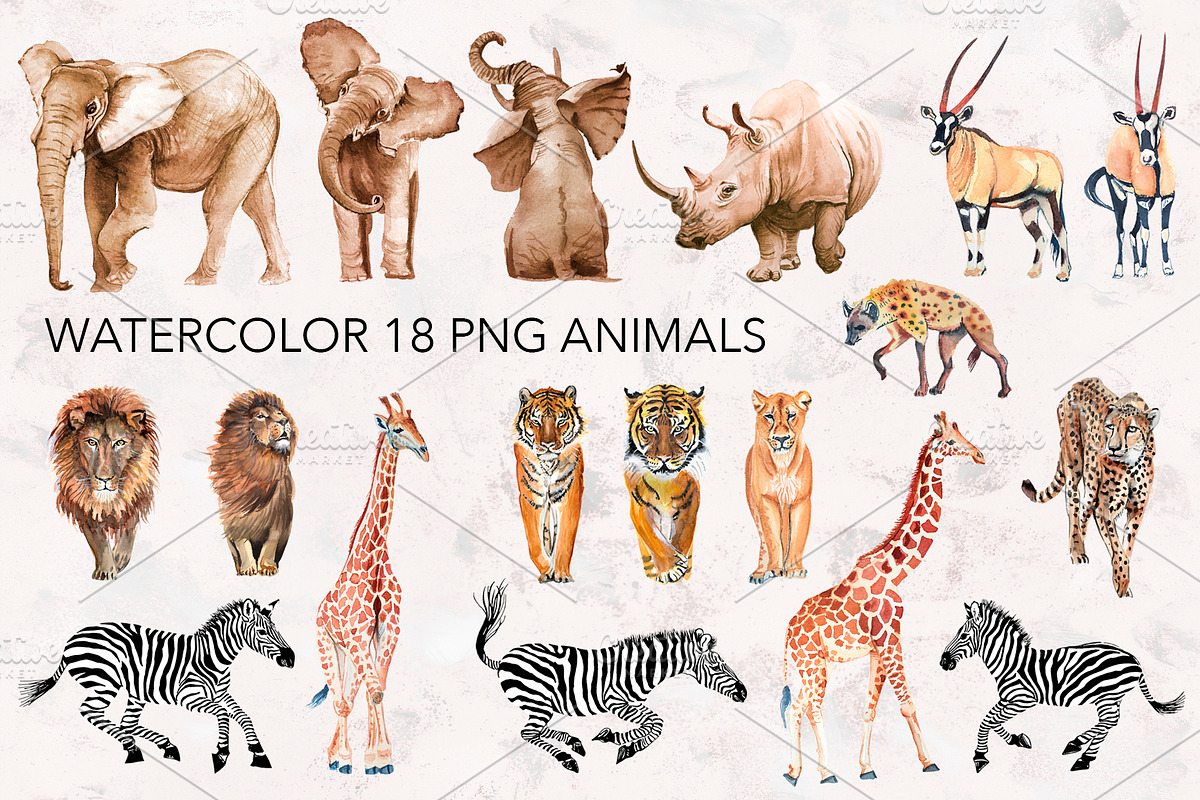 Watercolor AFRICA, an Animal Illustration by lilisavelieva (Photo 2 of 6)