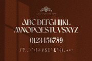 Marlon Elegant Serif Font Typeface, a Serif Font by Perfectype (Thumbnail 10 of 10)