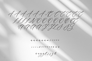 Aria Script, a Handwritten Font by Creative Foundry (Thumbnail 8 of 8)