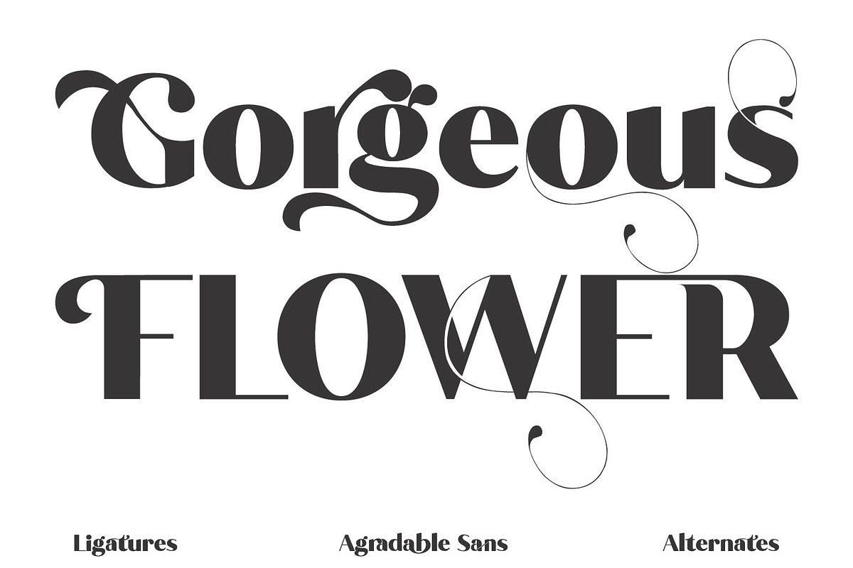 Agradable Sans | Stunning Sans Serif, a Sans Serif Font by MchCrafter (Photo 11 of 15)