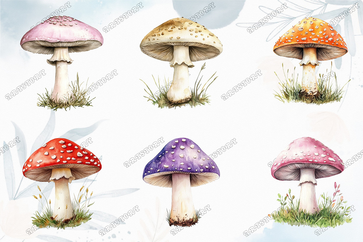 Watercolor Mushroom Clipart, an Illustration by designcity5 (Photo 3 of 5)