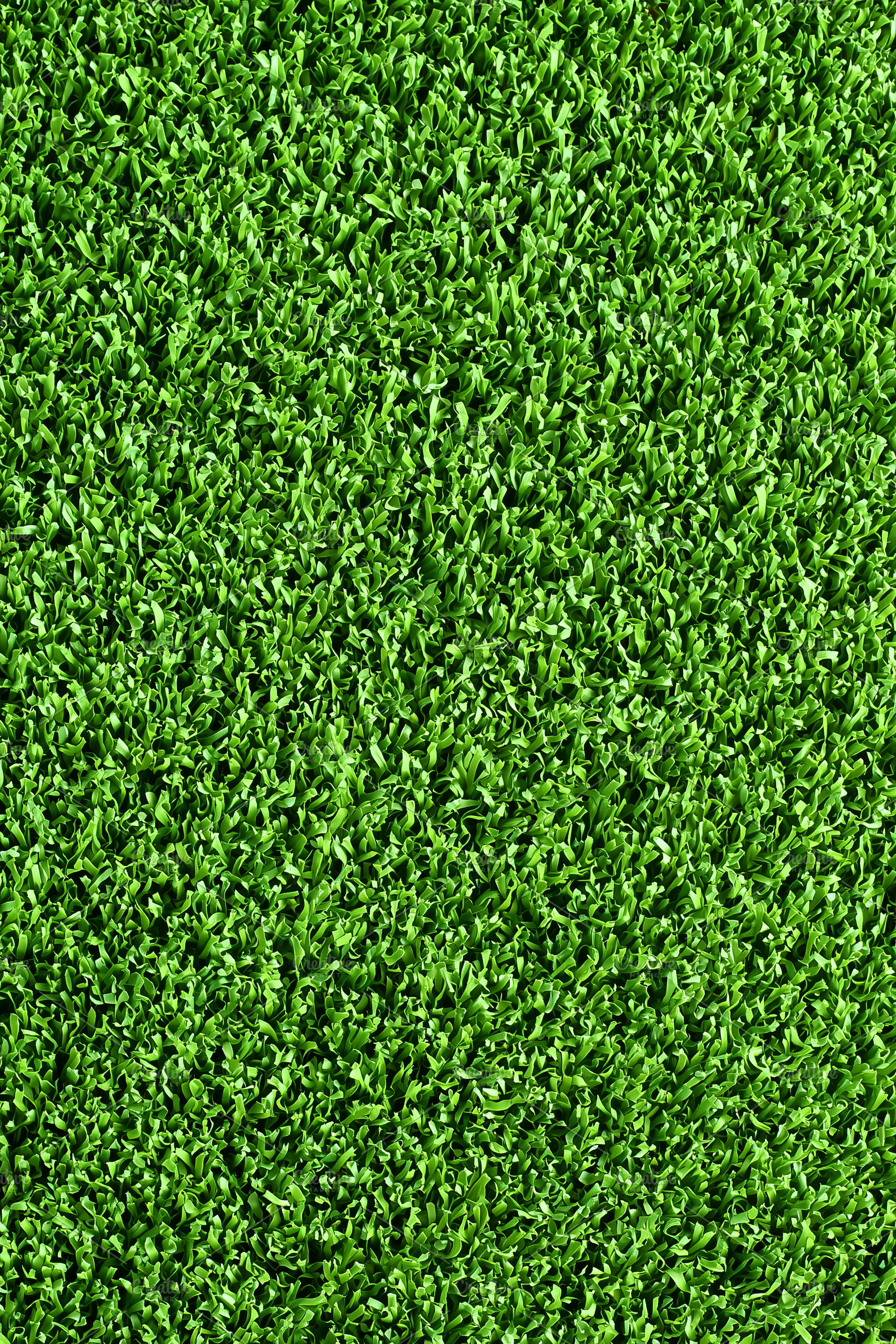 Close up view of vibrant green grass, a Nature Photo by MistyDay