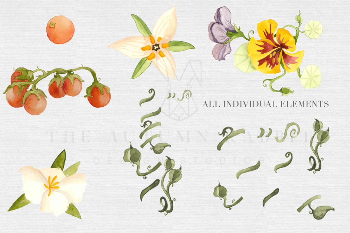 Botanical Watercolor Set, a Graphic by The Autumn Rabbit Ltd (Photo 2 of 2)