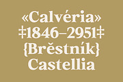 Euclid Serif | 180 Font Files, a Serif Font by Ws Studio (Thumbnail 7 of 12)