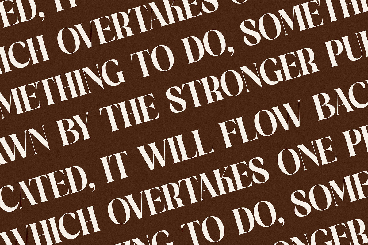 Copeland New Modern Serif Font, a Serif Font by Storytype Studio (Photo 10 of 15)