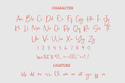 Pabbiolla Modern Script Font, a Script Font by Giant Design (Thumbnail 10 of 10)