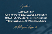 Volavira Font Collection - Font Trio, a Serif Font by Nollev (Thumbnail 13 of 14)