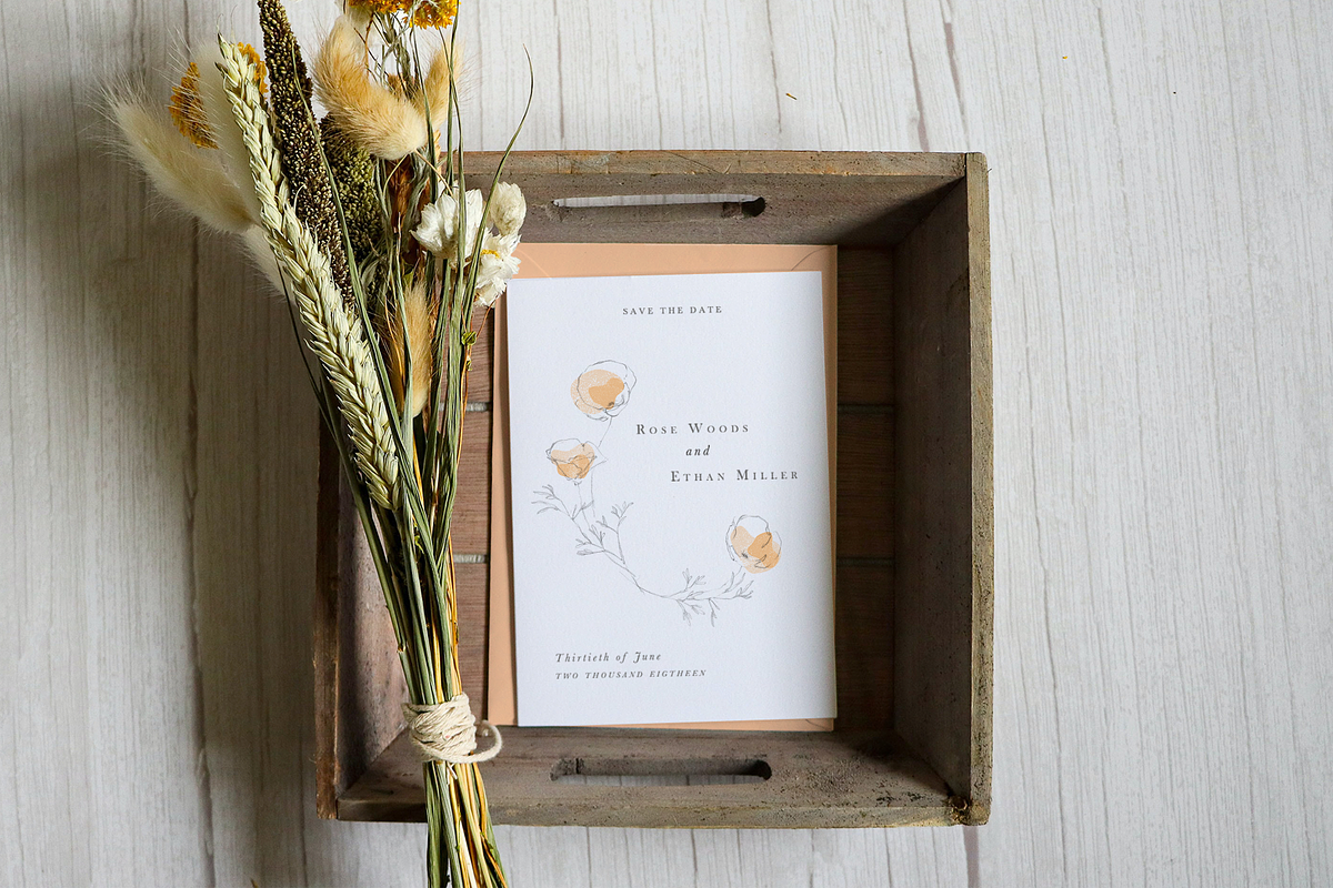 California Poppy Pencil Drawings, an Illustration by Greta Ivy (Photo 4 of 6)
