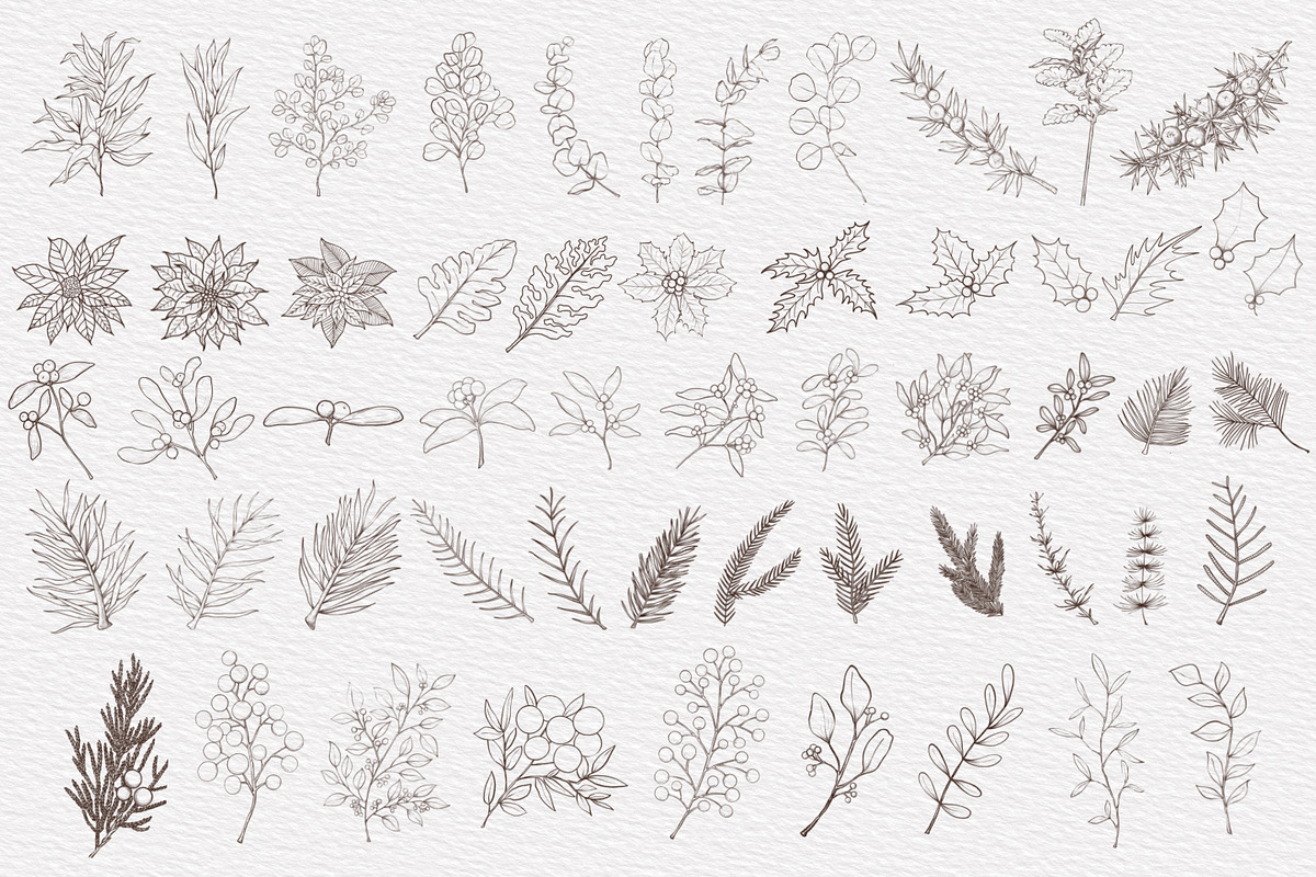Winter & Christmas Plants,Procreate, a Brush Add-On by Sense Library (Photo 2 of 11)