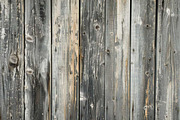 Wood Texture Backgrounds Bundle, a Background Photo by VetalStock (Thumbnail 2 of 9)