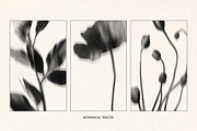 Botanical Traces: Blurred Floral PNG, an Object Graphic by Dina Mae (Thumbnail 3 of 14)
