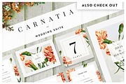 Carnatia WordPress Wedding Theme, a WordPress Template by Europe.graphics (Thumbnail 4 of 5)