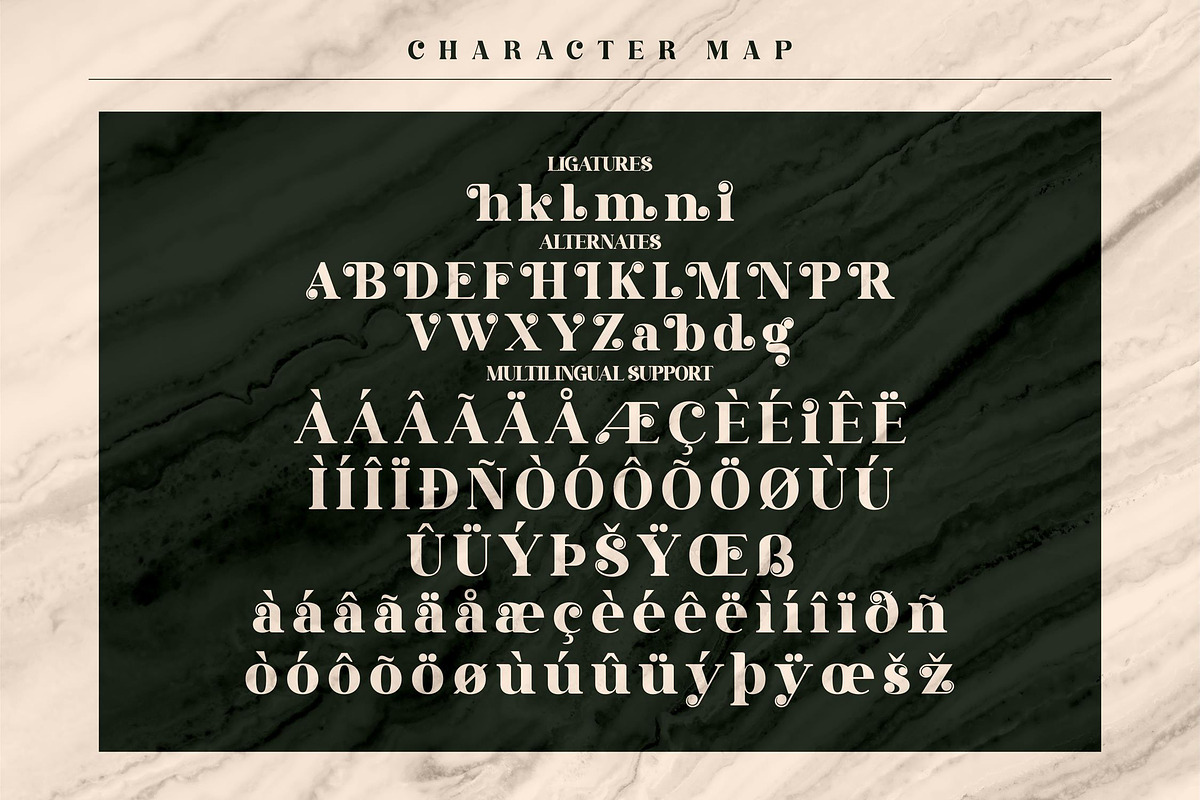 Gisrida Modern Serif Font, a Serif Font by Storytype Studio (Photo 7 of 8)
