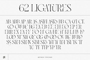 The Modern Typography Bundle, a Serif Font by Ivan Rosenberg (Thumbnail 48 of 58)