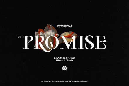ED Promise - Display Serif, a Serif Font by Emyself Design