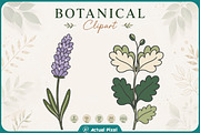 Boho Botanical Leaves Clipart Bundle, a Nature Photo by Actual Pixel (Thumbnail 20 of 21)