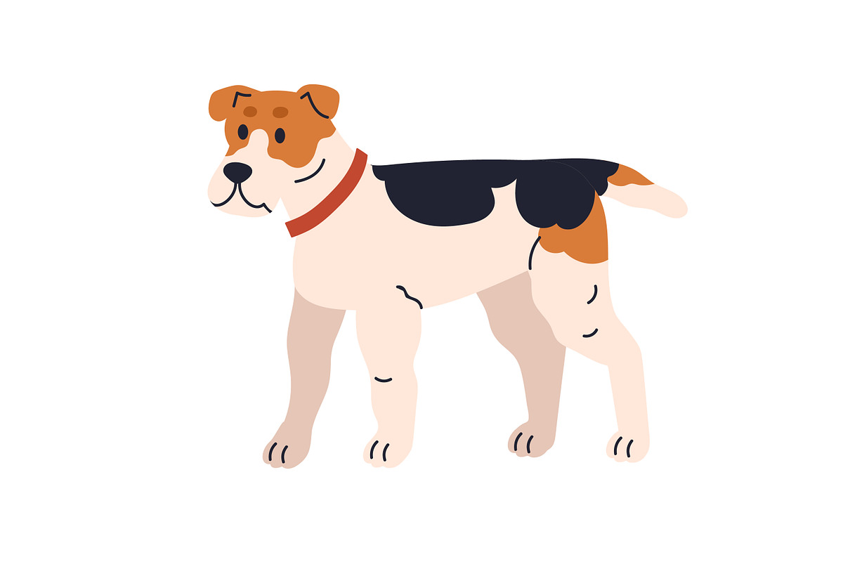 Cute dogs of different breeds set, an Animal Illustration by Good Studio (Photo 7 of 7)