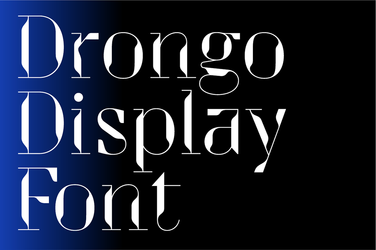Drongo Font, a Serif Font by Yury Veselov (Photo 1 of 12)