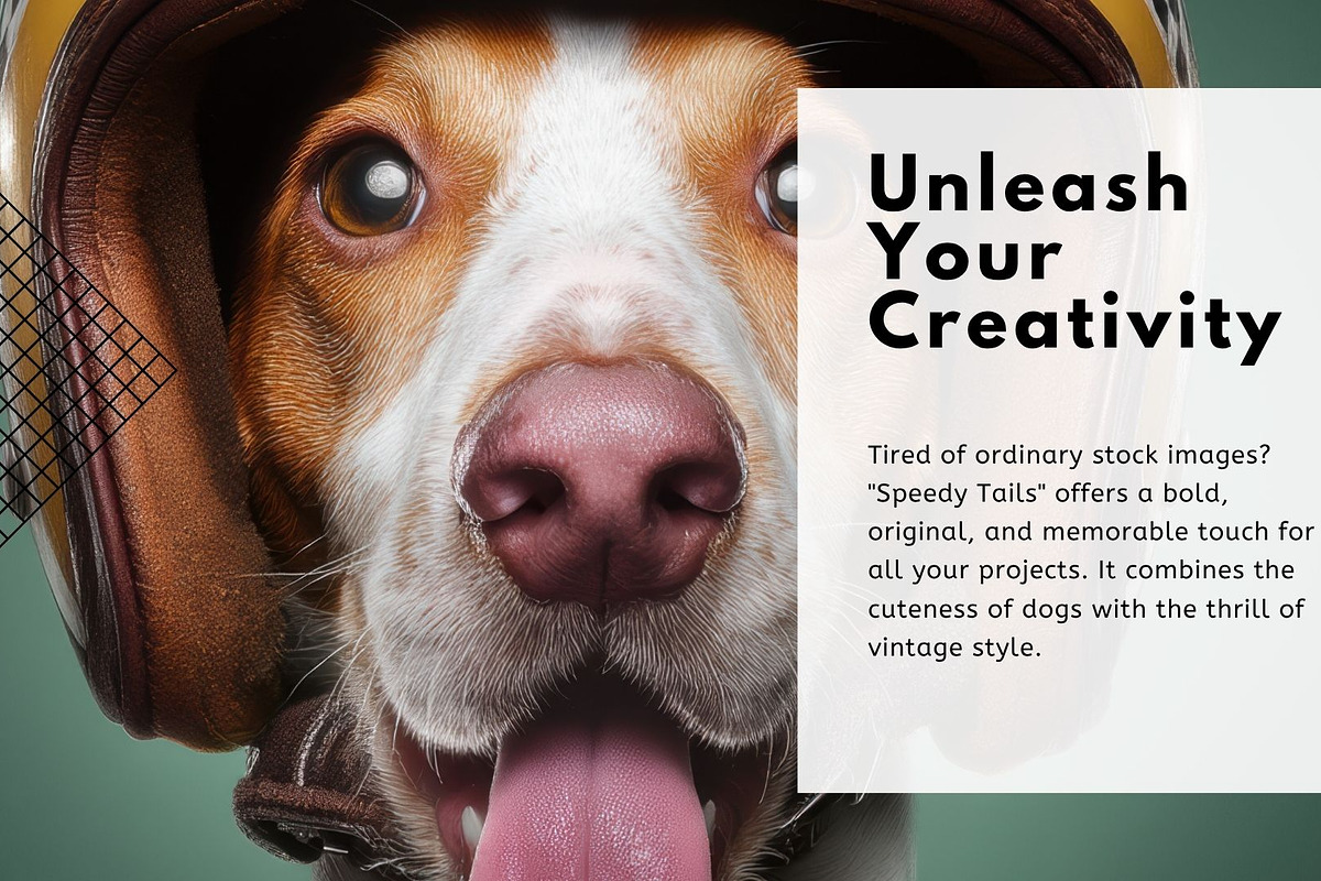 Speedy Tails: Helmet Dogs Bundle, an Animal Photo by Virgo Studio (Photo 2 of 6)