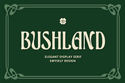 ED Bushland - Unique Display Serif, a Serif Font by Emyself Design (Thumbnail 1 of 10)