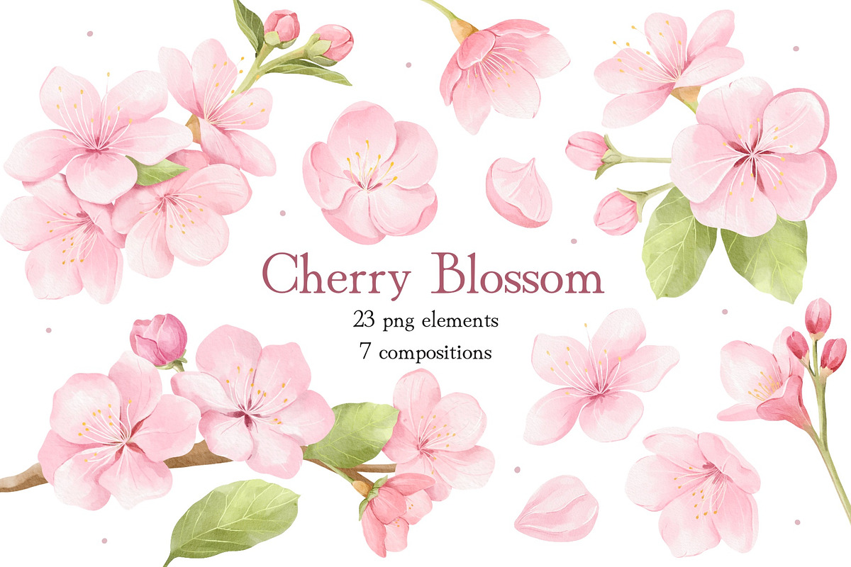 Watercolor Cherry Blossom Clipart, an Object Illustration by ArtGiftsStudio (Photo 1 of 5)