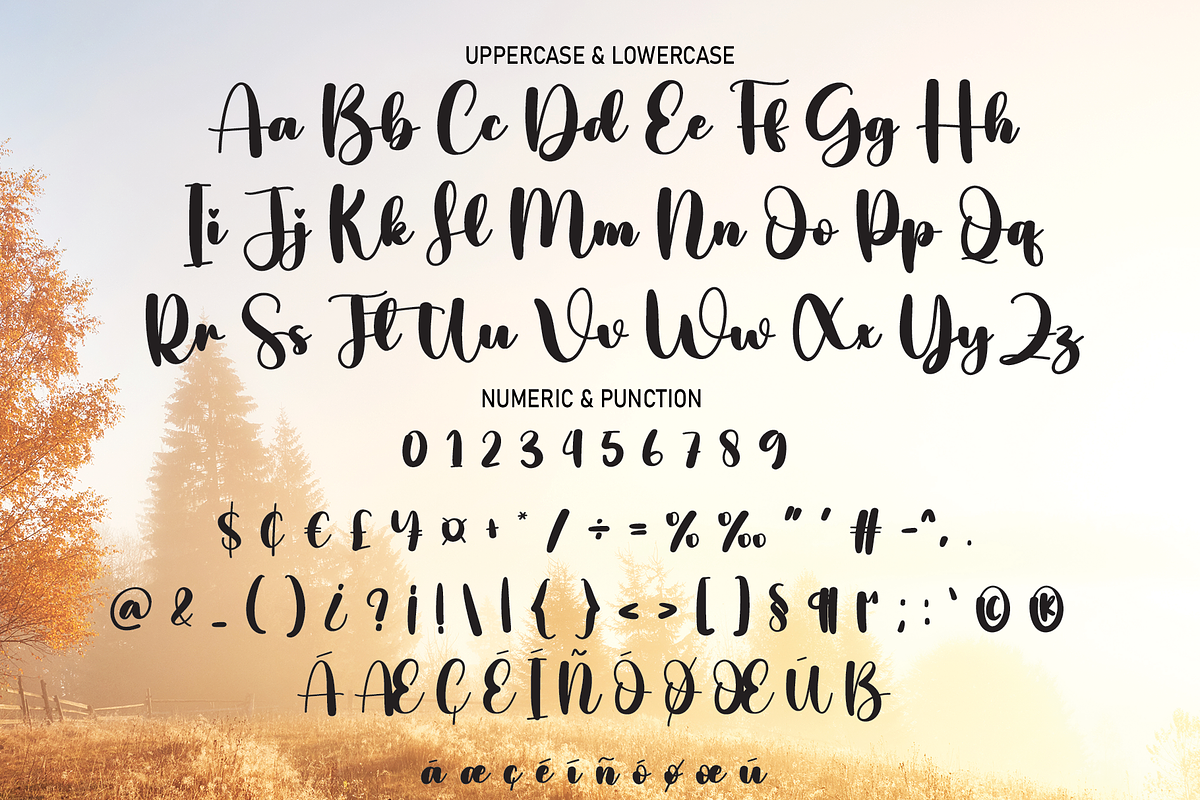 Maybe | Script Font, a Script Font by Scratchones (Photo 6 of 8)