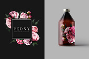 Peony Floral Clip Art, an Object Graphic by Eclectic Anthology (Thumbnail 14 of 17)