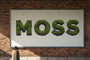 Moss on Rock Font, a Sans Serif Font by Handmadefont (Thumbnail 3 of 16)
