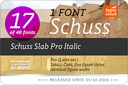SchussSlabProItalic No.17 (1 Font), a Slab Serif Font by typic schuss (Thumbnail 2 of 7)