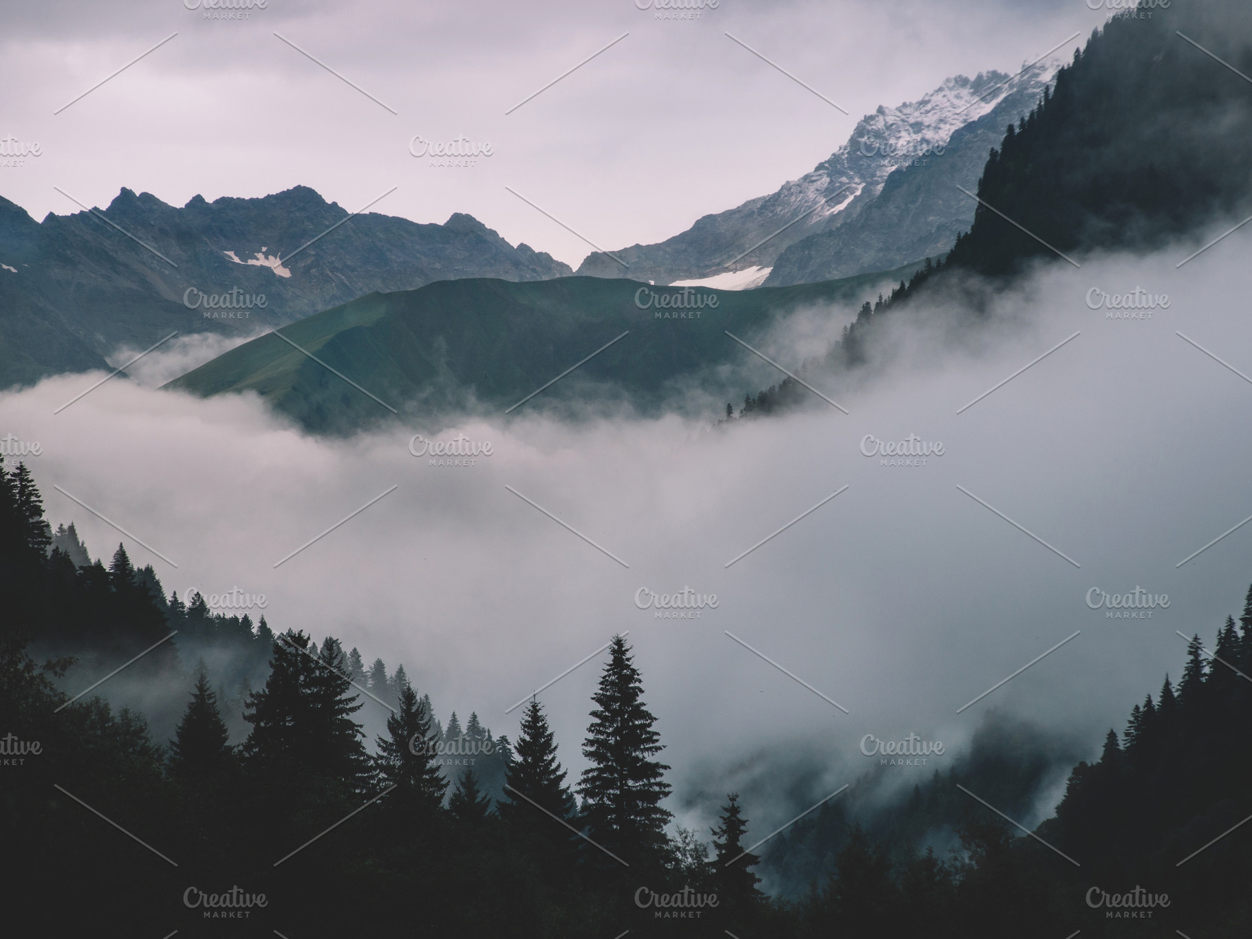Foggy forest stock photo containing forest and foggy, a Nature Photo by David Khelashvili