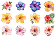 Watercolor Hibiscus Flowers Clipart, an Illustration by CitraGraphics (Thumbnail 4 of 4)