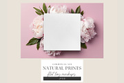 Natural Flat Lay Mockups Bundle, a Decorative Illustration by illuztrate (Thumbnail 12 of 15)