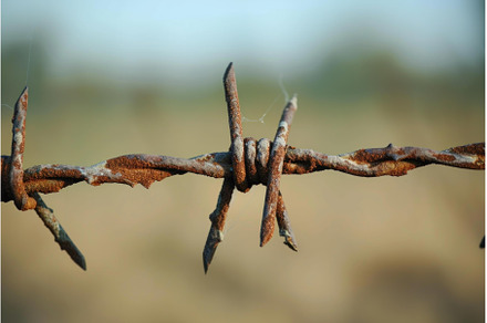 Metallic Barbed wire field closeup, a Nature Photo by Ylivdesign