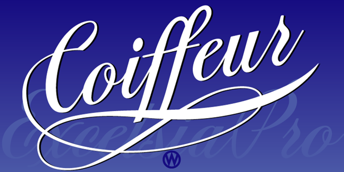Excelsia Pro, a Script Font by Wiescher-Design (Photo 1 of 11)