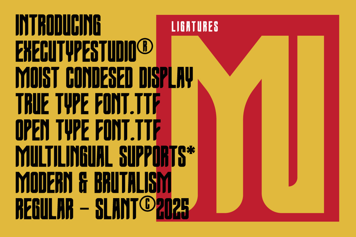 Moist Condesed Display, a Sans Serif Font by executypeStudio (Photo 8 of 13)